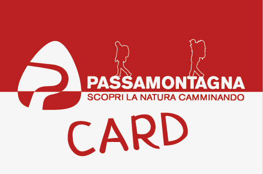 Card Rossa - Livello 5